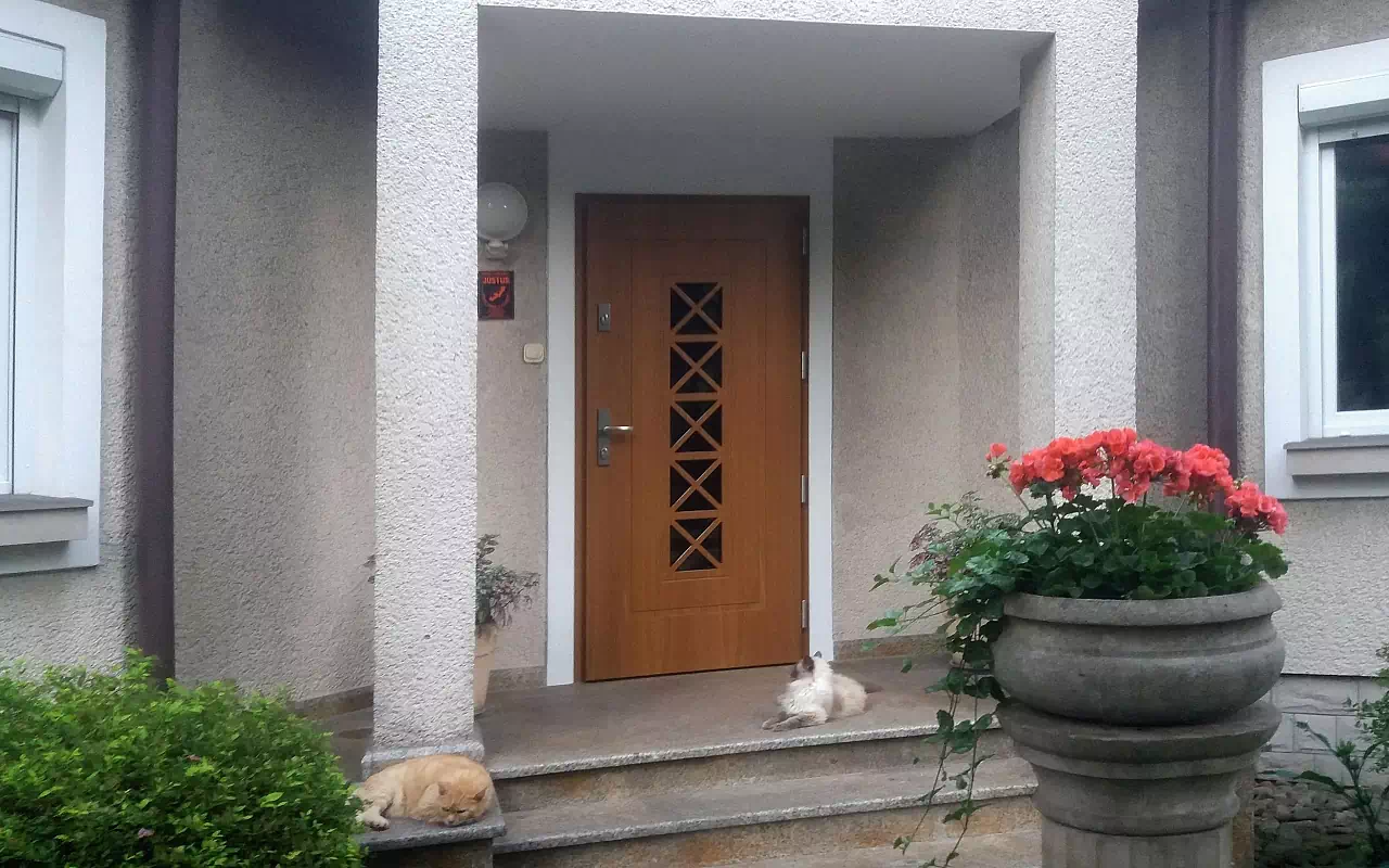 Ekskluzywne drzwi do domu wzór 546,1 w kolorze teakowym